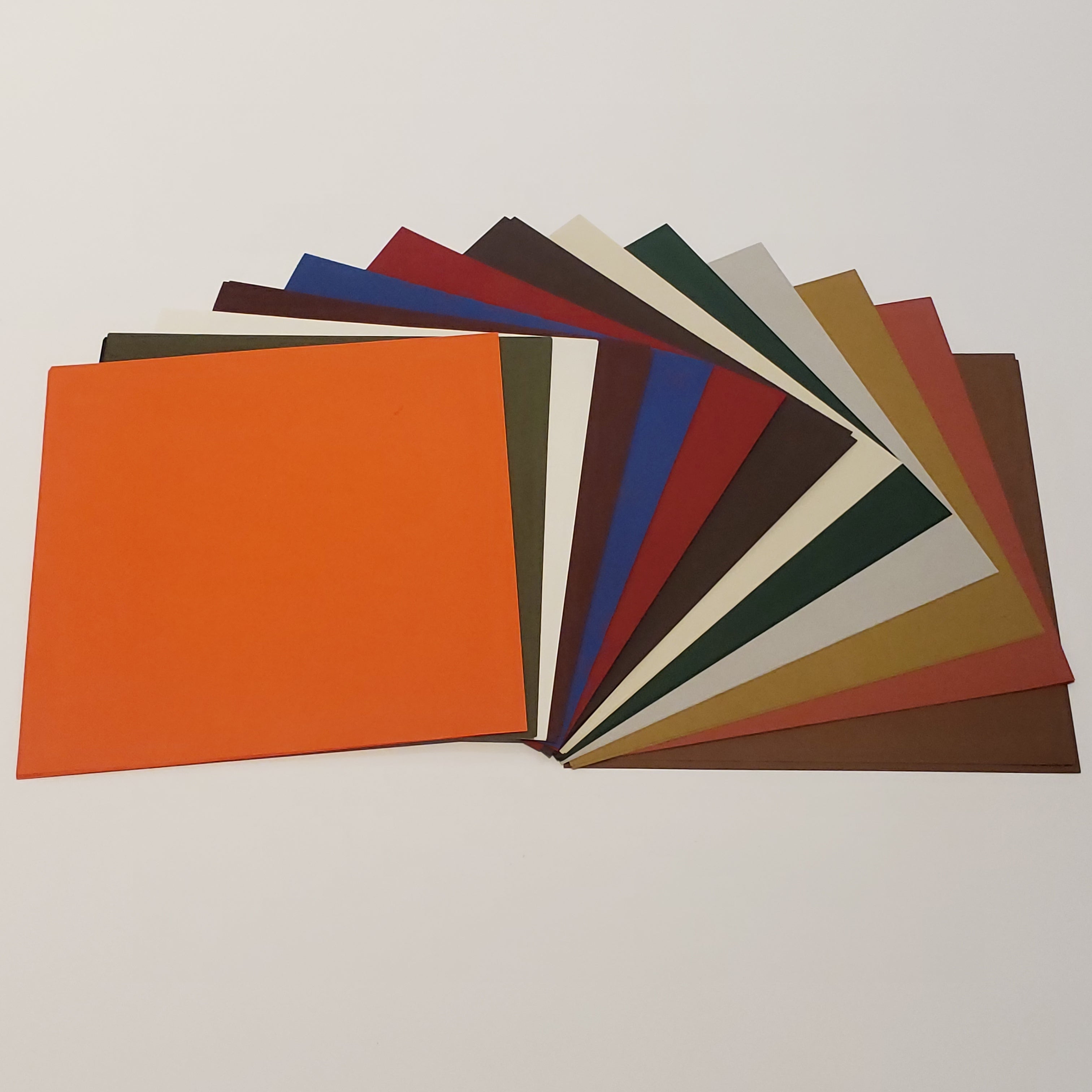 Biotope 12" Assortment Pack