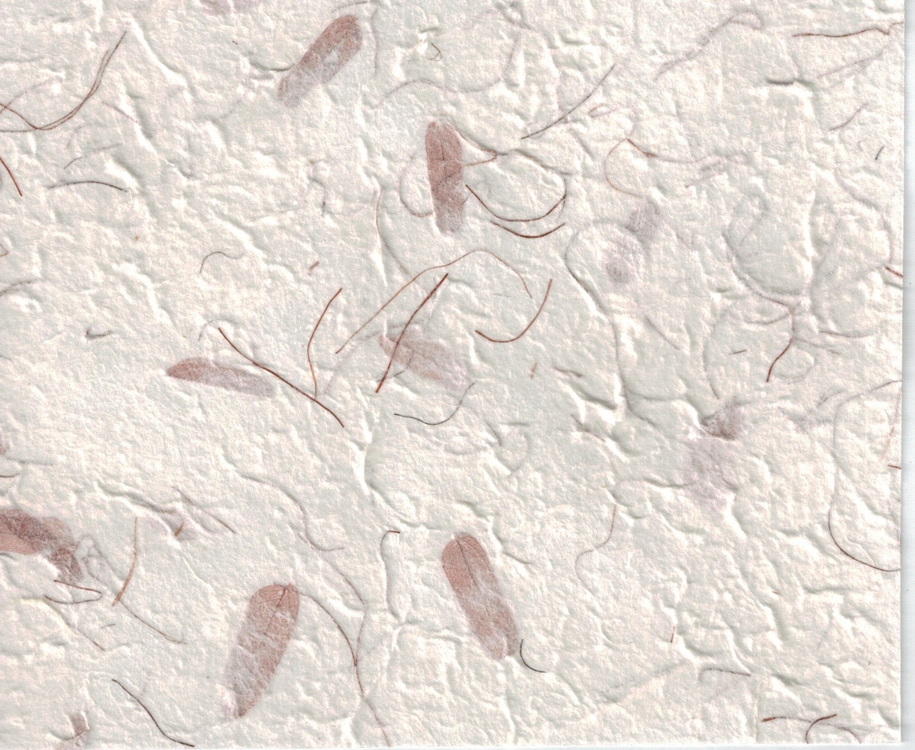 Handmade Paper - Tamarind