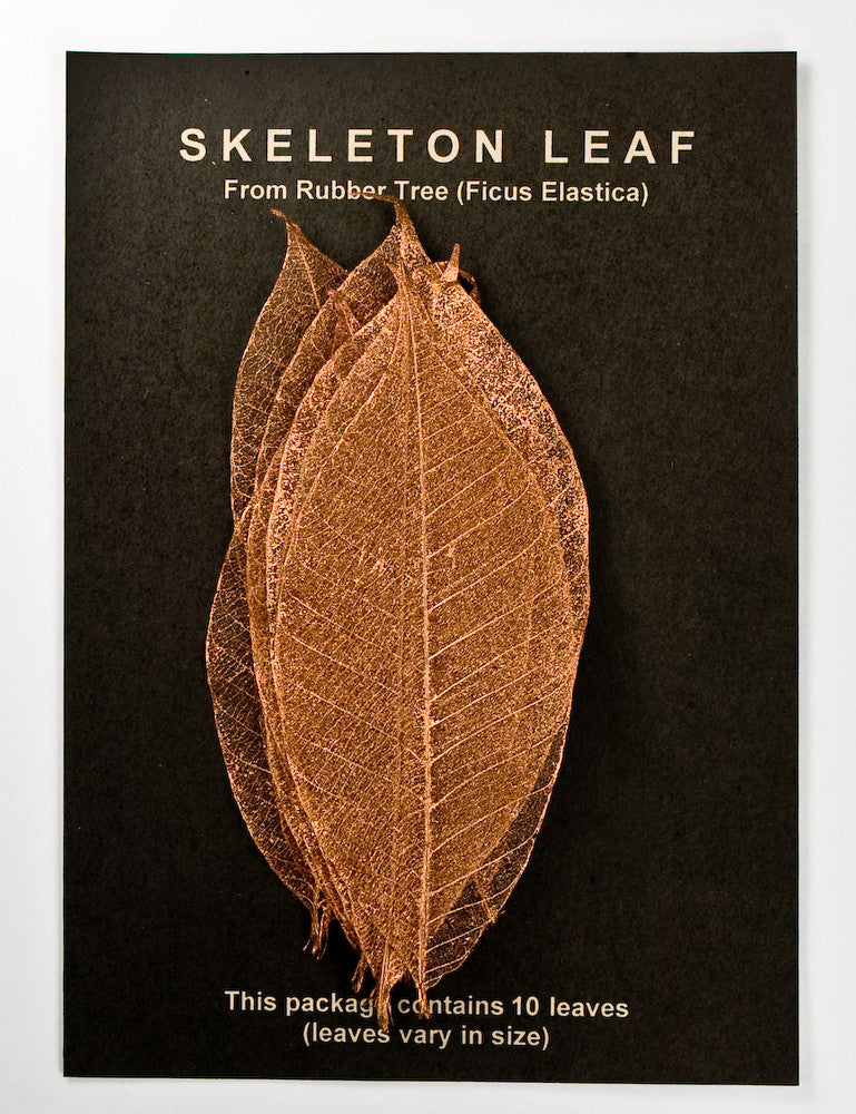 Rubber Tree Leaves - Copper