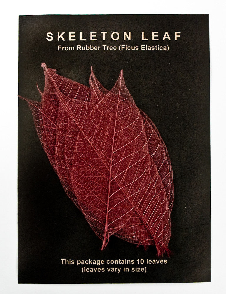 Rubber Tree Leaves - Maroon
